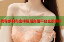 揭秘萝莉岛案件幕后真相平台全景解析