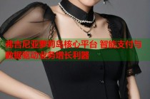 弗吉尼亚萝莉岛核心平台 智能支付与数据驱动业务增长利器