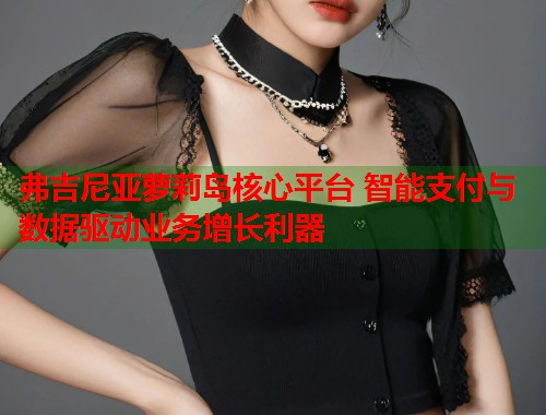 弗吉尼亚萝莉岛核心平台 智能支付与数据驱动业务增长利器 第1张 弗吉尼亚萝莉岛核心平台 智能支付与数据驱动业务增长利器 第1张