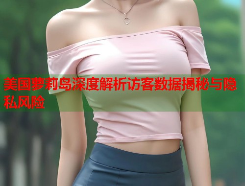 美国萝莉岛深度解析访客数据揭秘与隐私风险  第1张