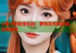 小李子的秘密乐园：萝莉岛专属定制，等你探索