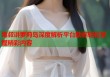 毒叔讲萝莉岛深度解析平台助你轻松掌握精彩内容