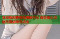 安泊斯坦萝莉岛揭秘平台 直击核心功能与用途吸引点击