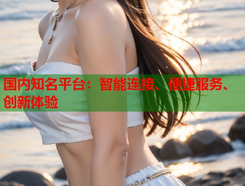 国内知名平台：智能连接、便捷服务、创新体验  第2张